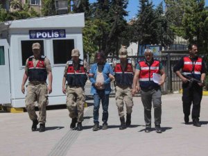 Sınırda Yakalanan Deaş Üyesi Terörist, Adliyeye Sevk Edildi