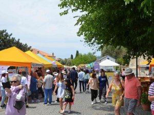 Didim Vegfest Pandemiden Sonra Yeniden Başladı