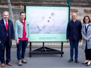 Öğretim Üyesi Nadir Buçan’ın Fotoğrafları Paris’te Sergileniyor