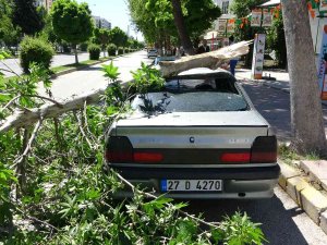 Rüzgarda Kırılan Dal Otomobilin Üzerine Düştü
