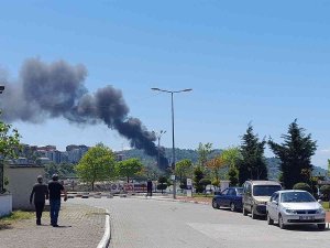 Dolgu Alanındaki Yangın Korkuttu