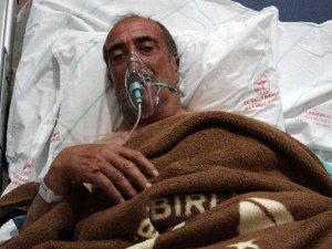 Muş’ta Domuzun Yaraladığı 60 Yaşındaki Vatandaşın Yardımına Jandarma Koştu