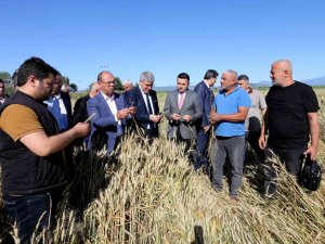 Şiddetli Dolu Yağışında 40 Bin Dekar Tarım Arazisinin Zarar Gördüğü Tespit Edildi
