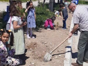 Hisarcık Atatürk İ̇lkokulu’nda Fidan Dikim Etkinliği