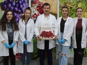 Önce Analiz Sonra İhracat