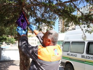 Öğrenciler Ve Melikgazi Belediyesi, Kuşları Yuva Sahibi Yaptı