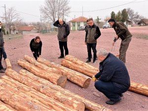 Kütahya’da Orman Satış Depolarında Uygulamalı Eğitim