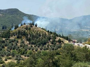 Antalya’da Orman Yangını Büyümeden Söndürüldü