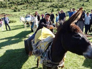Van’da ‘Eşek Arabası’ Yarışması