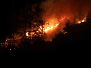 Alanya’da Orman Yangınında 3 Dekar Alan Zarar Gördü