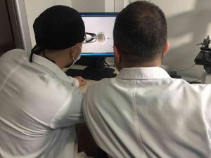 3 Boyutlu Yazıcı Yardımıyla Kök Hücreden Sperm Geliştirme Çalışmasıyla Anne-baba Olma Umudu