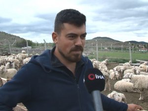 Yaklaşan Kurban Bayramı Öncesi Kurbanlık Fiyatları Konuşulmaya Başladı