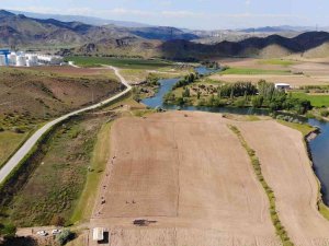 Çiftçilere Ücretsiz Dağıtıldı, 7 Ülkeye İhraç Edilecek