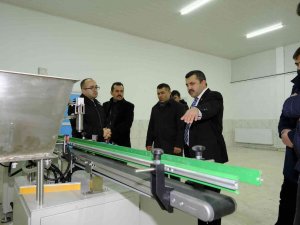 Paketleme Ve Üretim Tesisinde Sona Gelindi