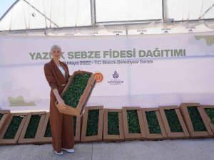 Bilecik’te Çiftçilere 100 Bin Domates, Biber, Karpuz Ve Patlıcan Fidesi Dağıtıldı