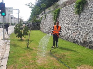 Kilis’te Parklar Refüj Ve Bulvarların Bakımları Yapılıyor