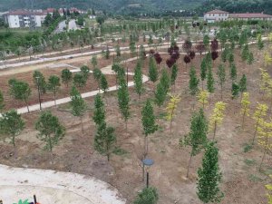 Yangının Çıktığı Eski Enkaz Döküm Sahası Yeşil Alan Dönüştü