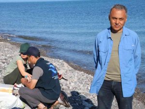 Karadeniz’de Tedirgin Eden Görüntü