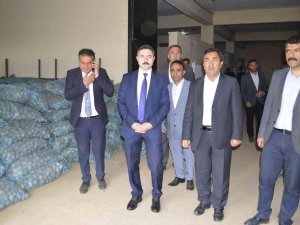 Pasinler’de 75 Ton Patates Tohumu Dağıtıldı