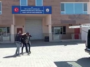 Van’da 8 Organizatör Tutuklandı