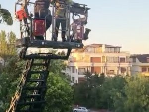 İ̇stanbul’da Kuş Kurtarma Operasyonu Kamerada