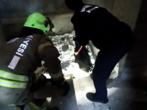 Kartal’da Asansör Boşluğuna Düşen Köpeği, Kurtarma Operasyonu
