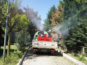 Robotik Kodlama Kollu Araçla Vektörle Mücadele