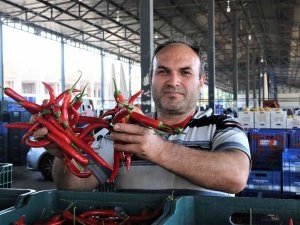 Havaların Isındığı Antalya Halinde Sebze Fiyatları Geçen Haftalara Göre Yarı Yarıya Düştü