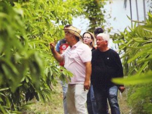 İ̇klim Değişikliği, Tarımsal Faaliyetleri De Etkiledi