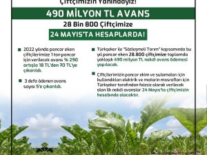 Pancar Eken 28 Bin 800 Çiftçiye 490 Milyon Lira Nakdi Avans Ödemesi Yapılacak