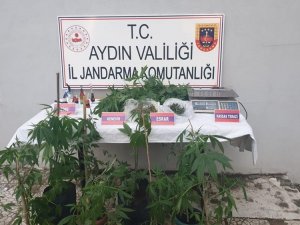 Aydın’da Bir Haftada 59 Şüpheliye Uyuşturucudan İşlem Yapıldı