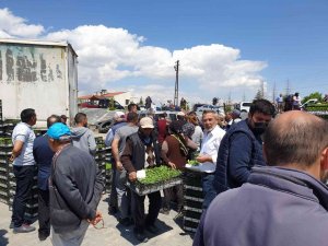 Evren’de Çiftçiye Fidan Desteği