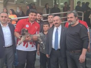 Dünya Şampiyonu Ali Peker, Memleketinde Coşkuyla Karşılandı