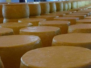 Muş’ta 65 Yıllık Baba Mesleğini Sürdüren Kardeşler Kente Yılda 30 Milyon Lira Katkı Sağlıyor