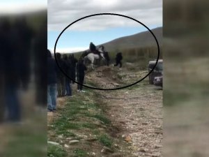 Muhabir Cirit Atının Altında Kalmaktan Ani Refleksle Son Anda Kurtuldu