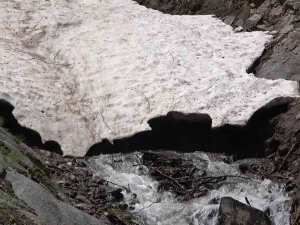Kar Sularının Erimesiyle Doğa Yeniden Canlandı