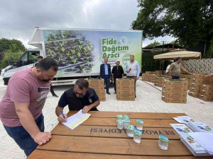 Beykoz’da Hedeflenen 1 Milyon Yerli Ve Milli Fide Dağıtımına Başlandı