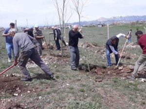 Aşkale’de 3 Bin Fidan Toprakla Buluştu