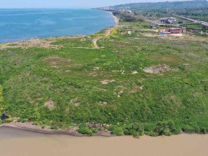 40 Yıllık Çileyi 3 Yılda Bitirdi