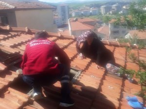 İ̇laçlama Yapmak İçin Çıktığı Çatıda Ayağını Kırdı