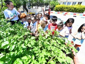 Minikler İçin Tarım Atölyesi