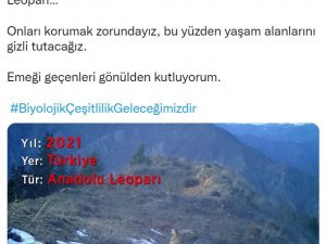 Bakan Kirişci’den ’Anadolu Leoparı’ Paylaşımı