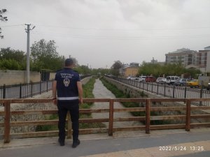Derede Kaçak Avlanan İnci Kefali Balığı Yeniden Suya Bırakıldı