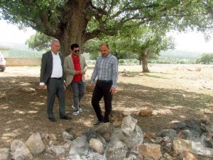 Araban’da ’’Asırlık Ağaç’’ Seferberliği