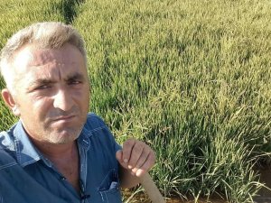 Kestiği Ağacın Altında Can Verdi