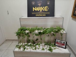Erzincan’da 3 Ayrı Uyuşturucu Operasyonunda 3 Kişi Tutuklandı