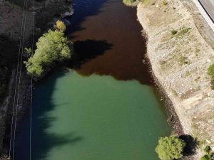 Torul Baraj Gölünde Alg Patlaması Suyun Rengini Değiştirdi