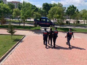 13 Yıl Hapis Cezası Olan Hırsız Jandarmanın Operasyonuyla Yakalandı