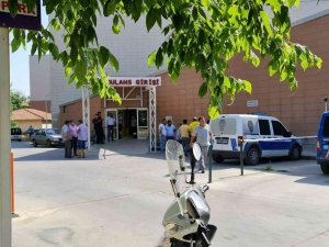 Dayı Ve Yeğenin Zeytin Ağacı Kavgasında Kan Aktı
