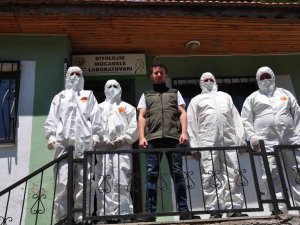 Ormanlarda Böcek Savaşları Başladı